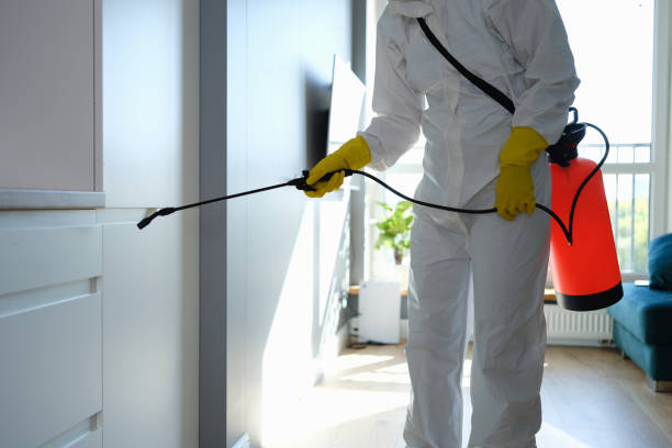 Professional Mold Remediation in Addison, TX
